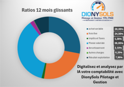 Digitalisez et analysez vos &eacute;critures comptables avec DionySols